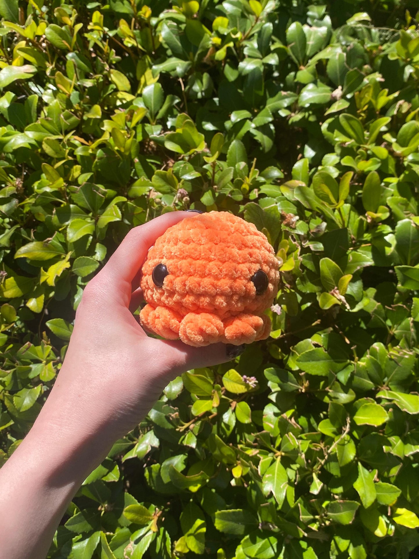 Octopus Plushie
