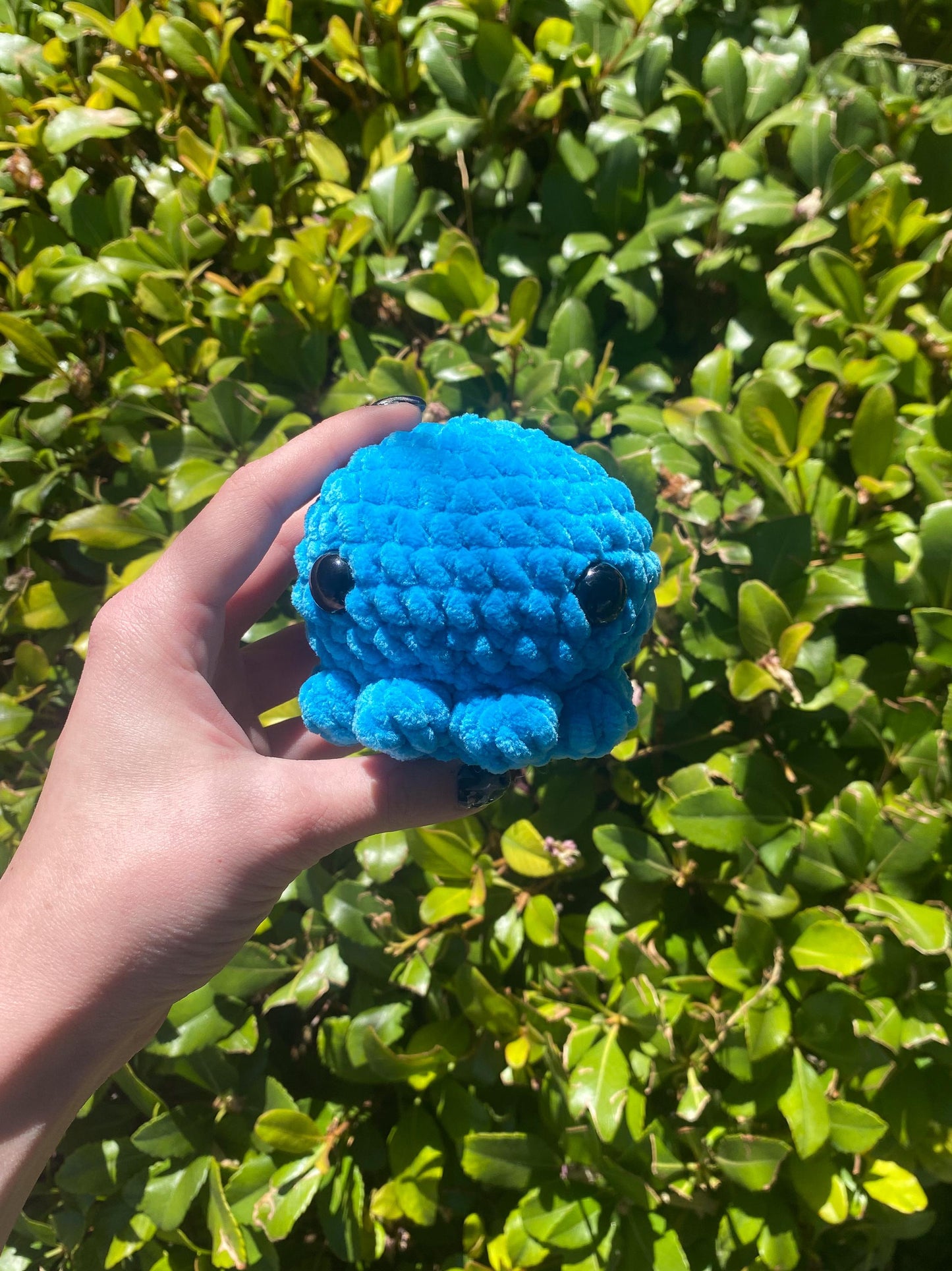 Octopus Plushie