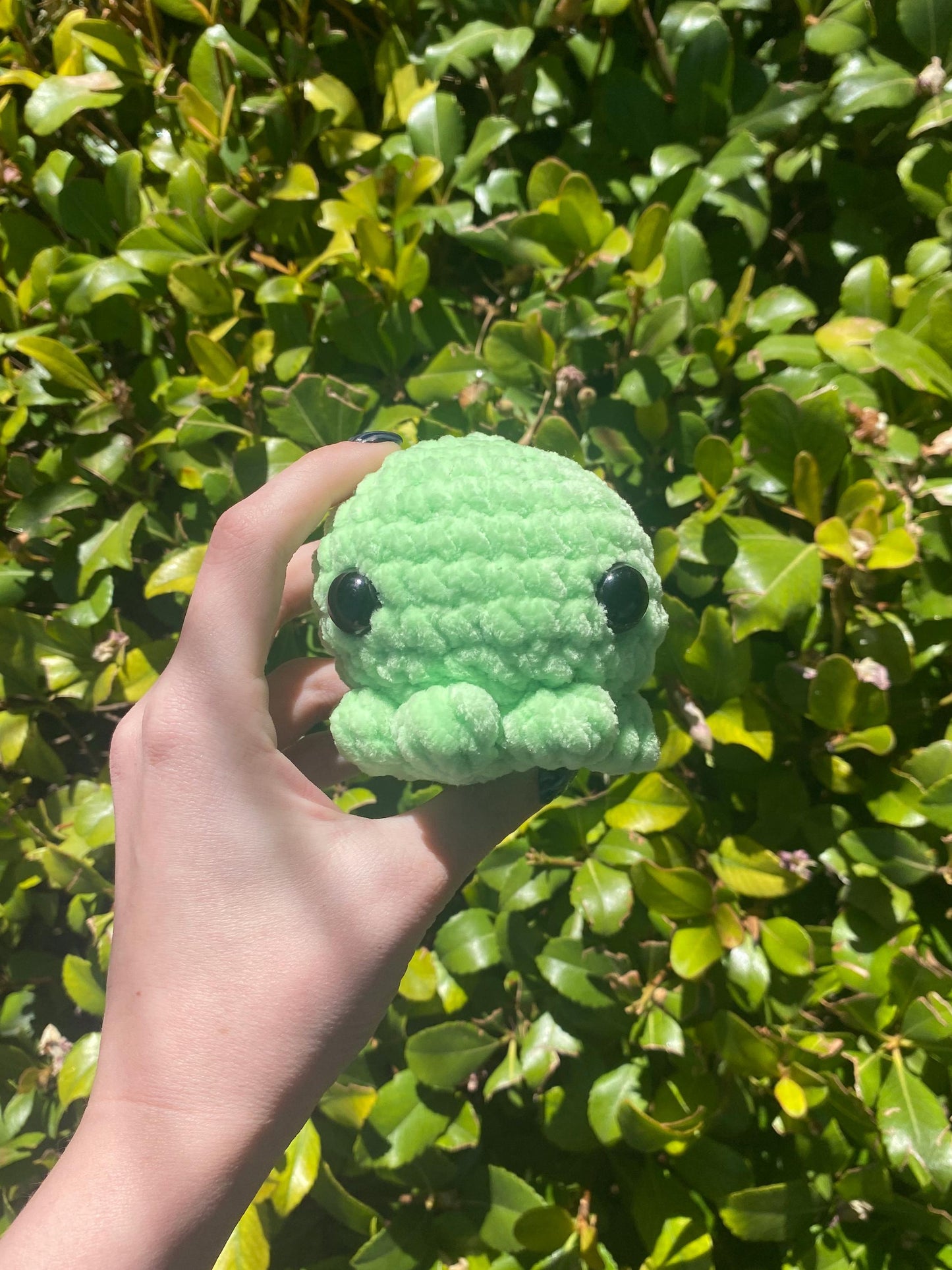 Octopus Plushie